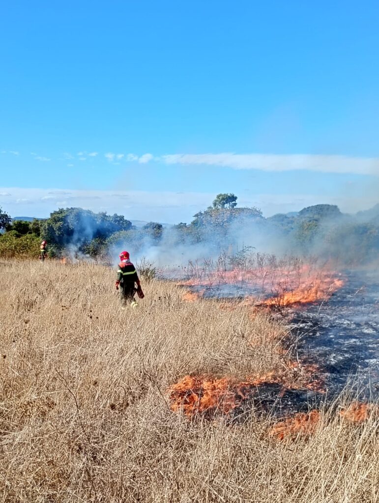 Študijski obisk FIRESAFENET na Sardiniji: izmenjava znanja in izkušenj na področju požarov v naravnem okolju